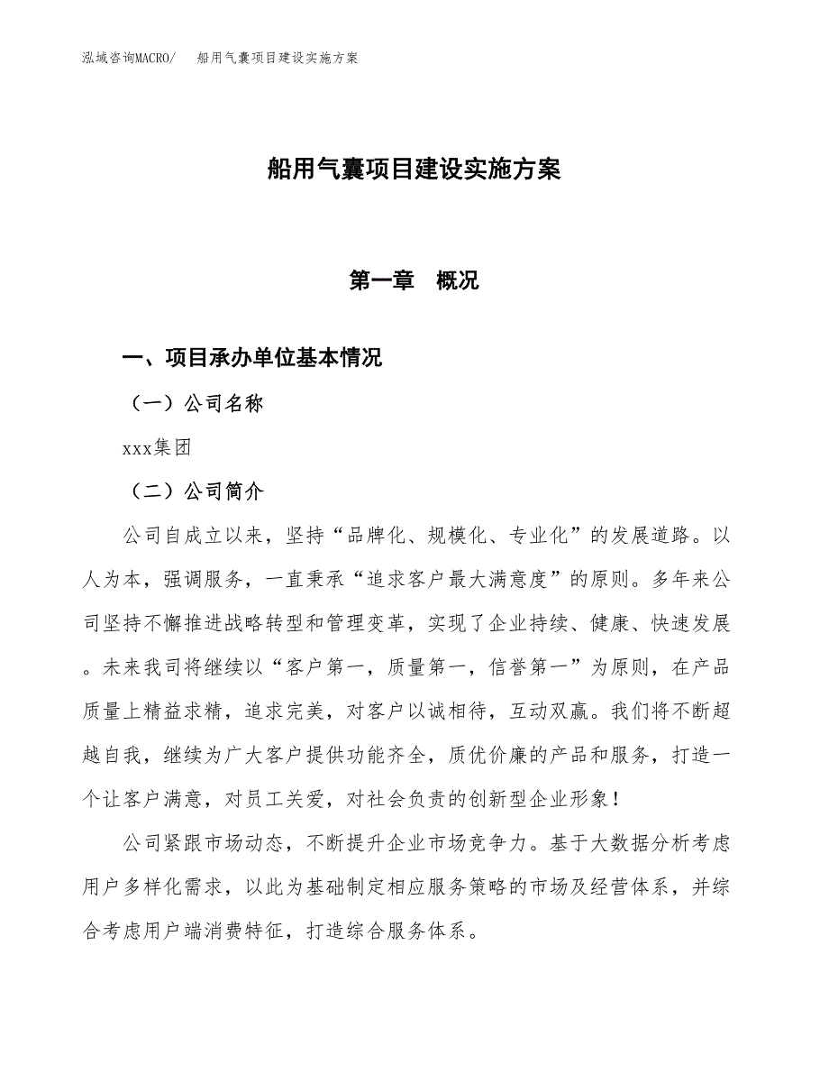 船用气囊项目建设实施方案（模板）_第1页