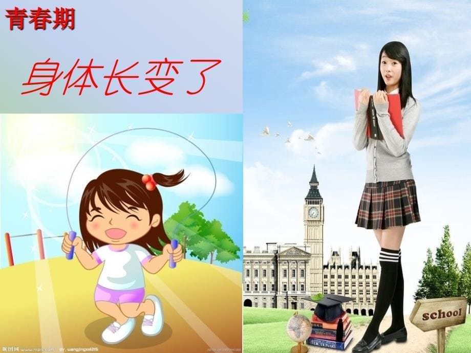 青春期教育《中小学早恋预防》主题班会课件_第5页