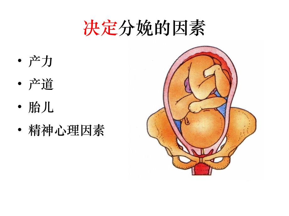 异常分娩-产力异常_第2页