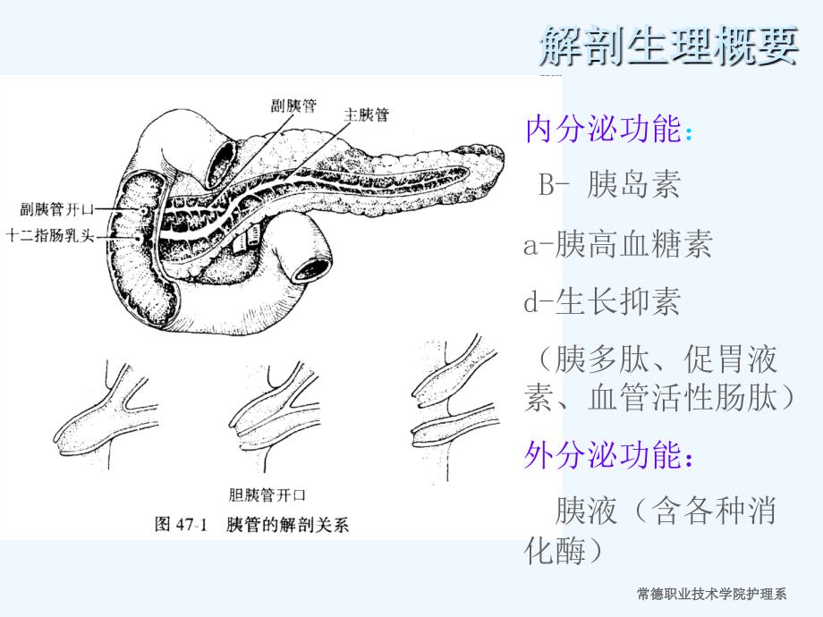 项目任务胰腺疾病病人的护理_第4页