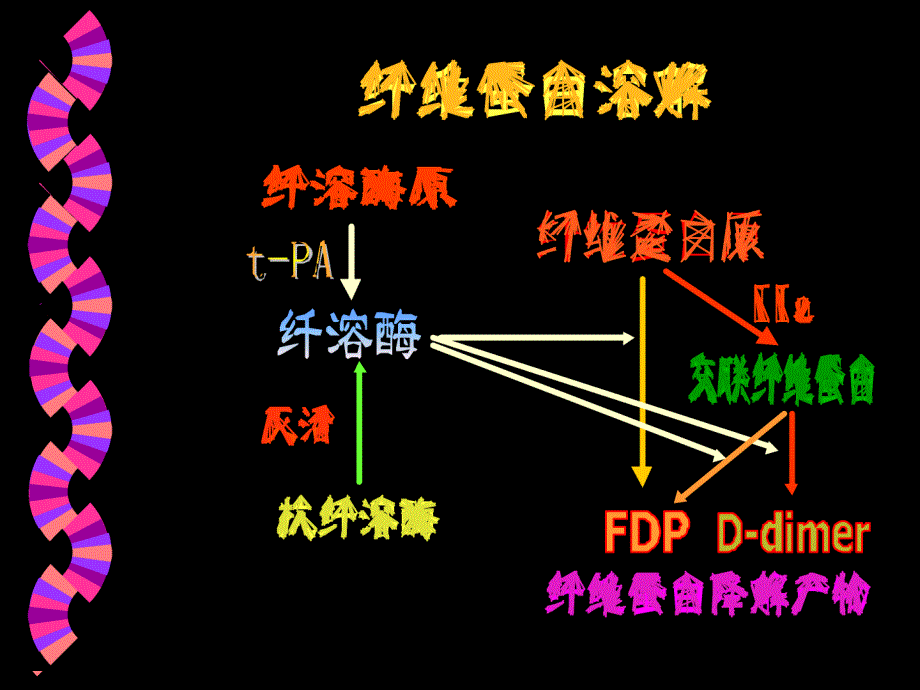 出血与血栓性疾病的实验诊断(2000-4)综述_第2页