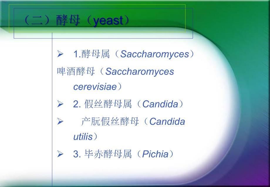 发酵技术 第二章 菌种的选育、保藏与培养1综述_第5页