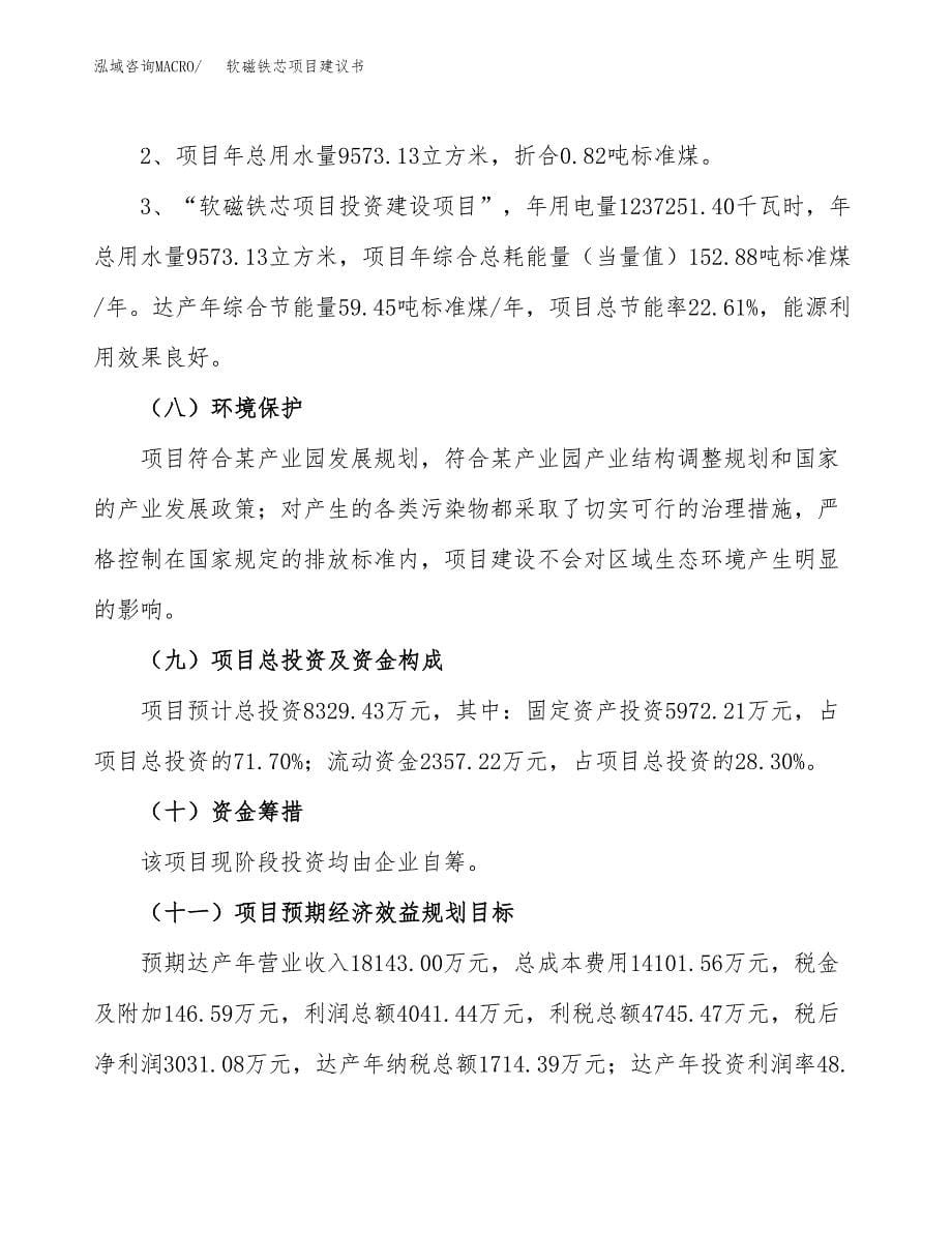 软磁铁芯项目建议书（可研报告）.docx_第5页