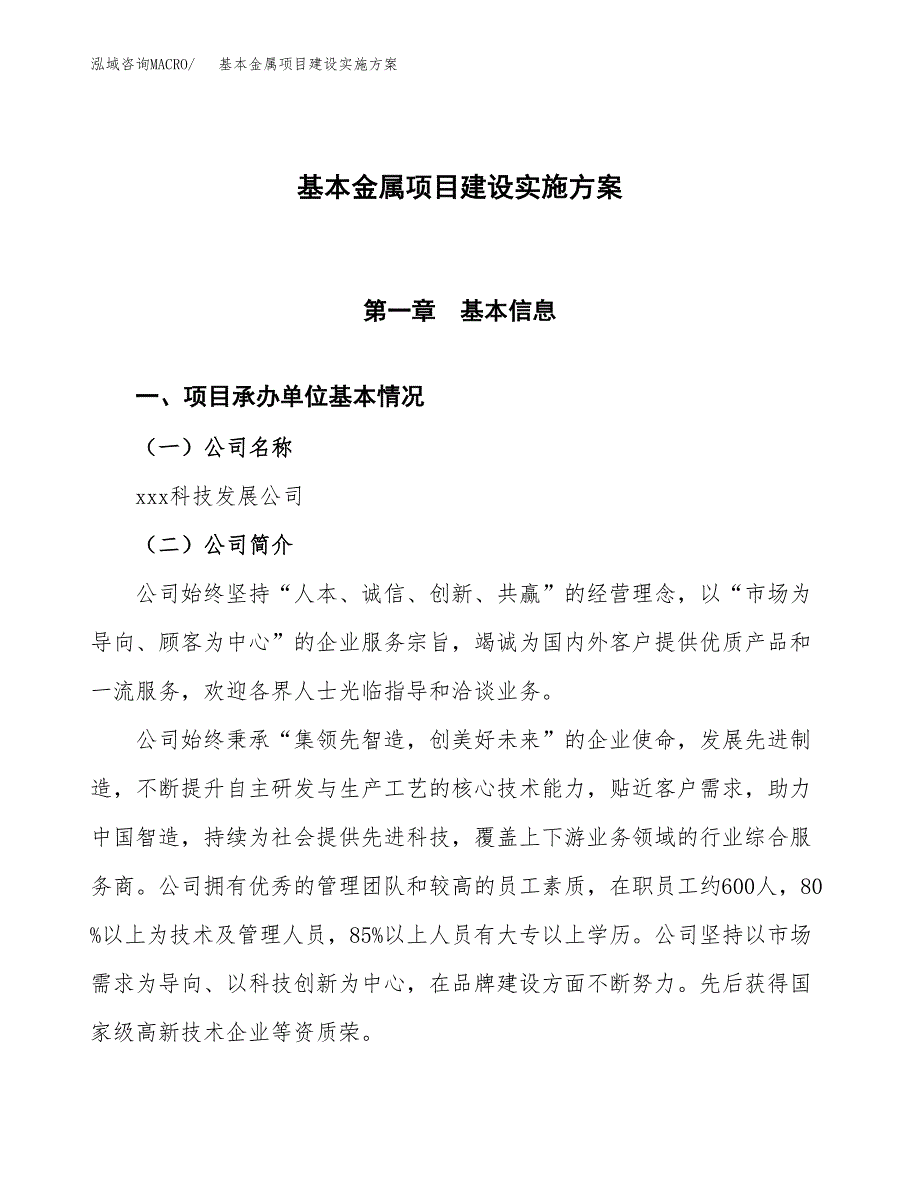 基本金属项目建设实施方案（模板）_第1页