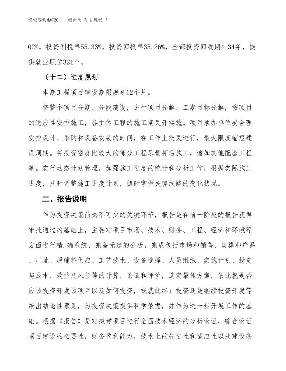 锁闭阀 项目建议书（可研报告）.docx_第5页