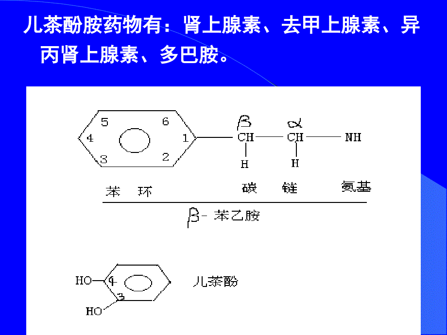 第五篇肾上腺素受体激动药_第3页