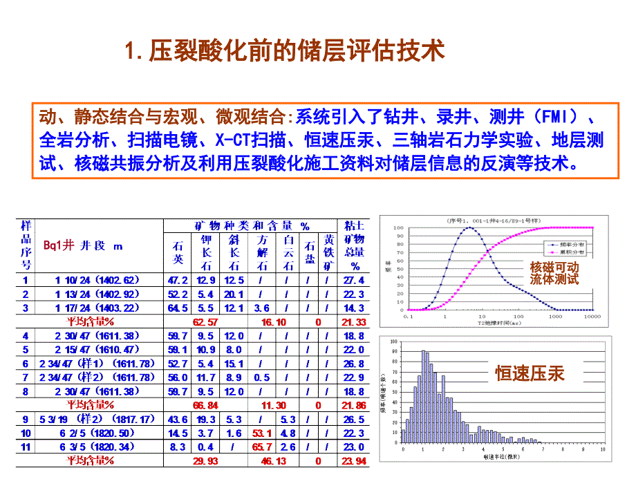 压裂酸化技术现状综述_第4页