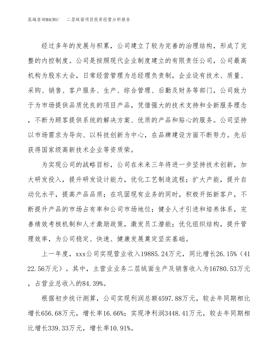 二层绒面项目投资经营分析报告模板.docx_第2页