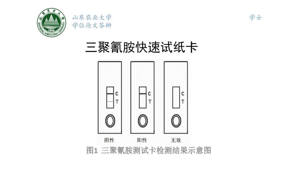 蛋白质检测毕业论文答辩综述_第5页