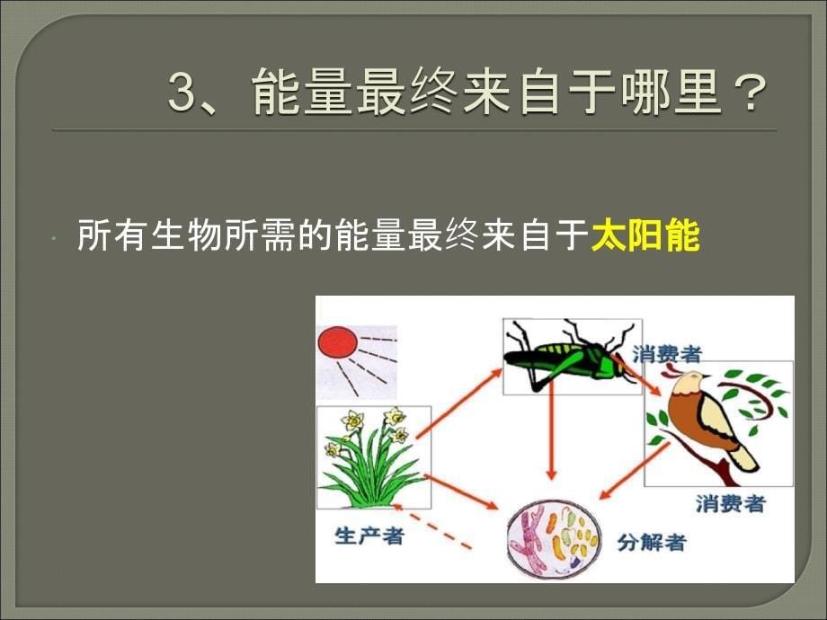 第四节细胞的生活教学课件_第5页