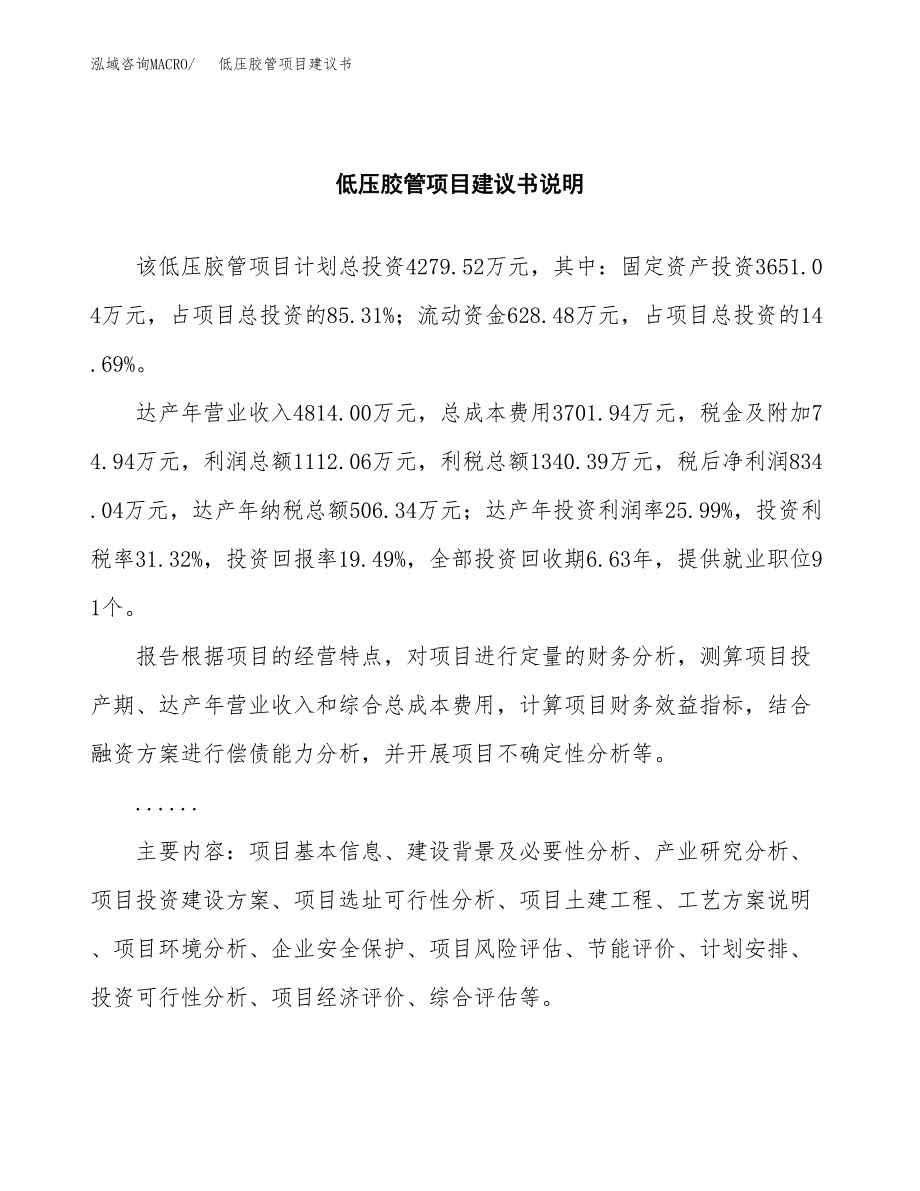 低压胶管项目建议书（可研报告）.docx_第2页