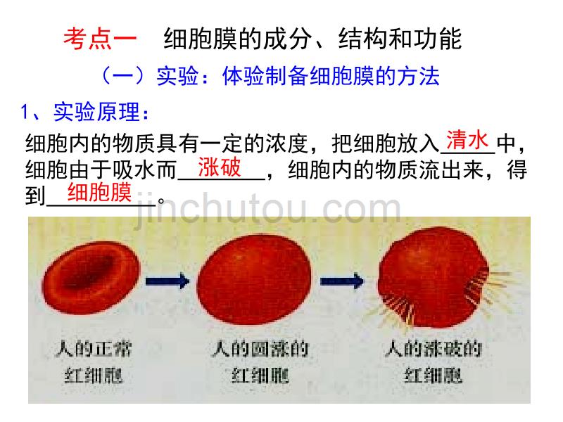 细胞的基本结构高中生物课件讲述_第2页