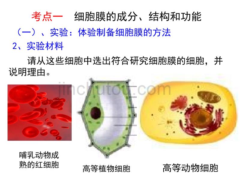 细胞的基本结构高中生物课件讲述_第3页