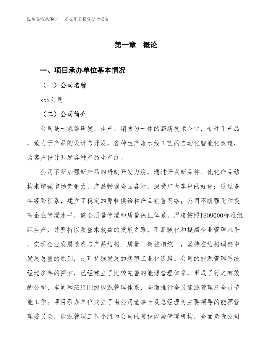 吊桩项目投资分析报告（总投资5000万元）（19亩）_第2页