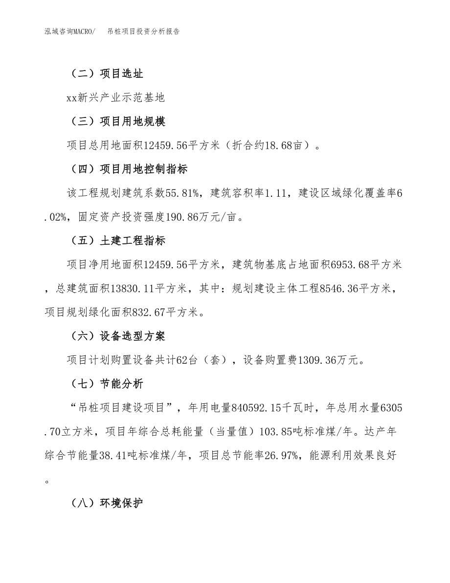 吊桩项目投资分析报告（总投资5000万元）（19亩）_第5页