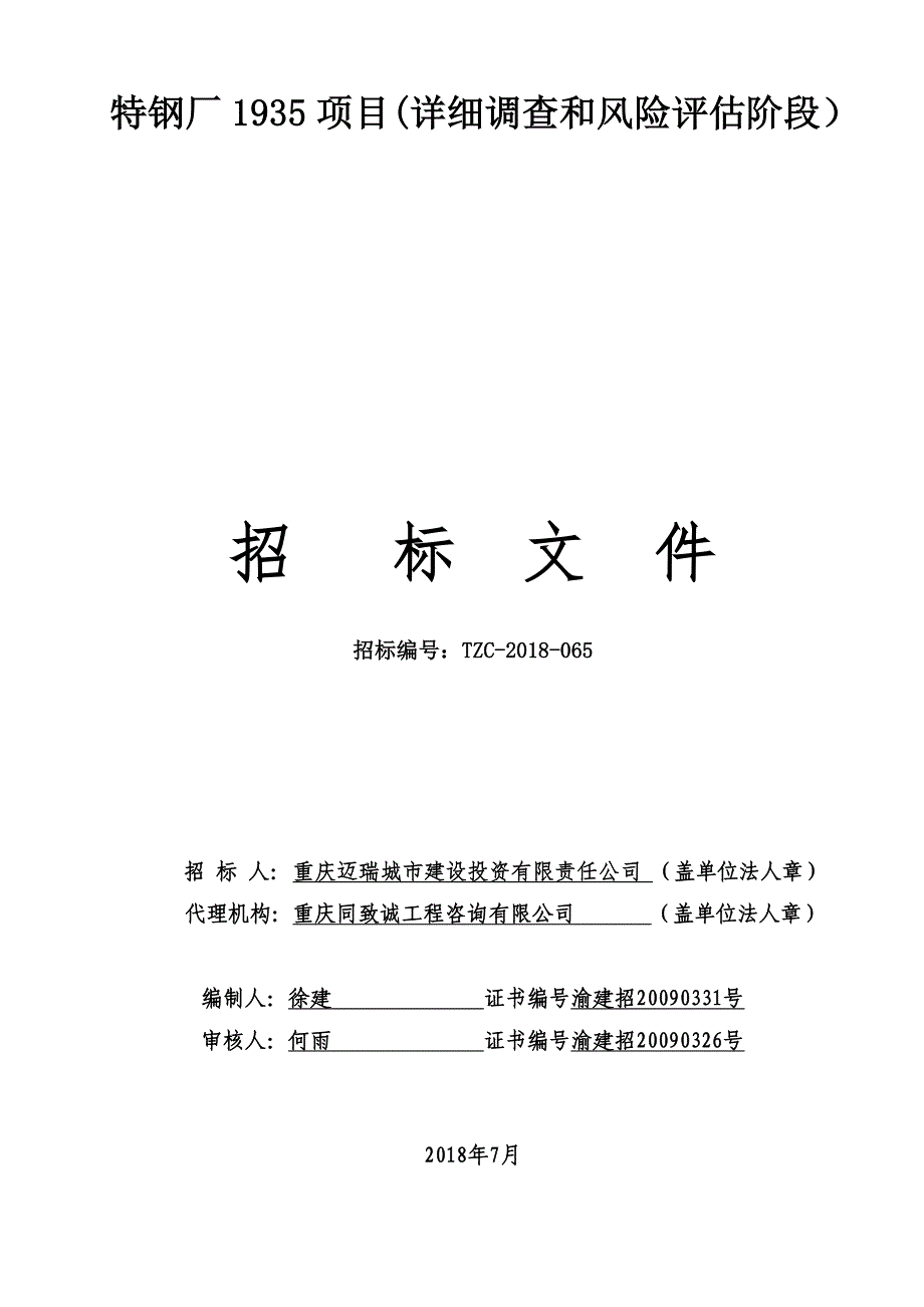 特钢厂1935项目（详细调查与风险评估阶段）招标文件_第1页