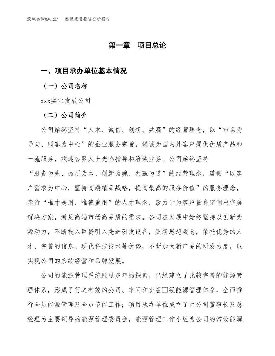 酰胺项目投资分析报告（总投资8000万元）（30亩）_第2页