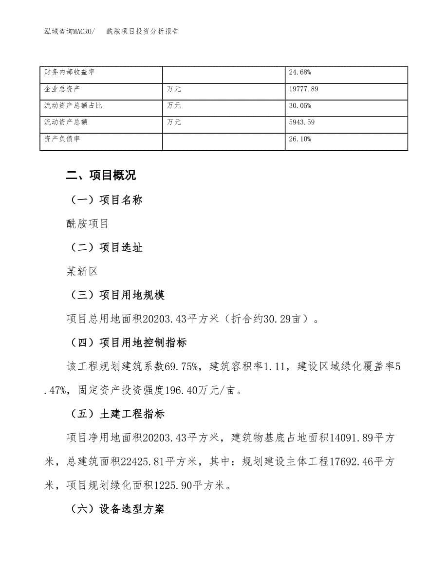 酰胺项目投资分析报告（总投资8000万元）（30亩）_第5页