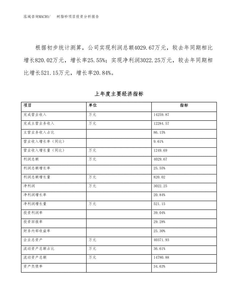 树脂砂项目投资分析报告（总投资18000万元）（76亩）_第5页