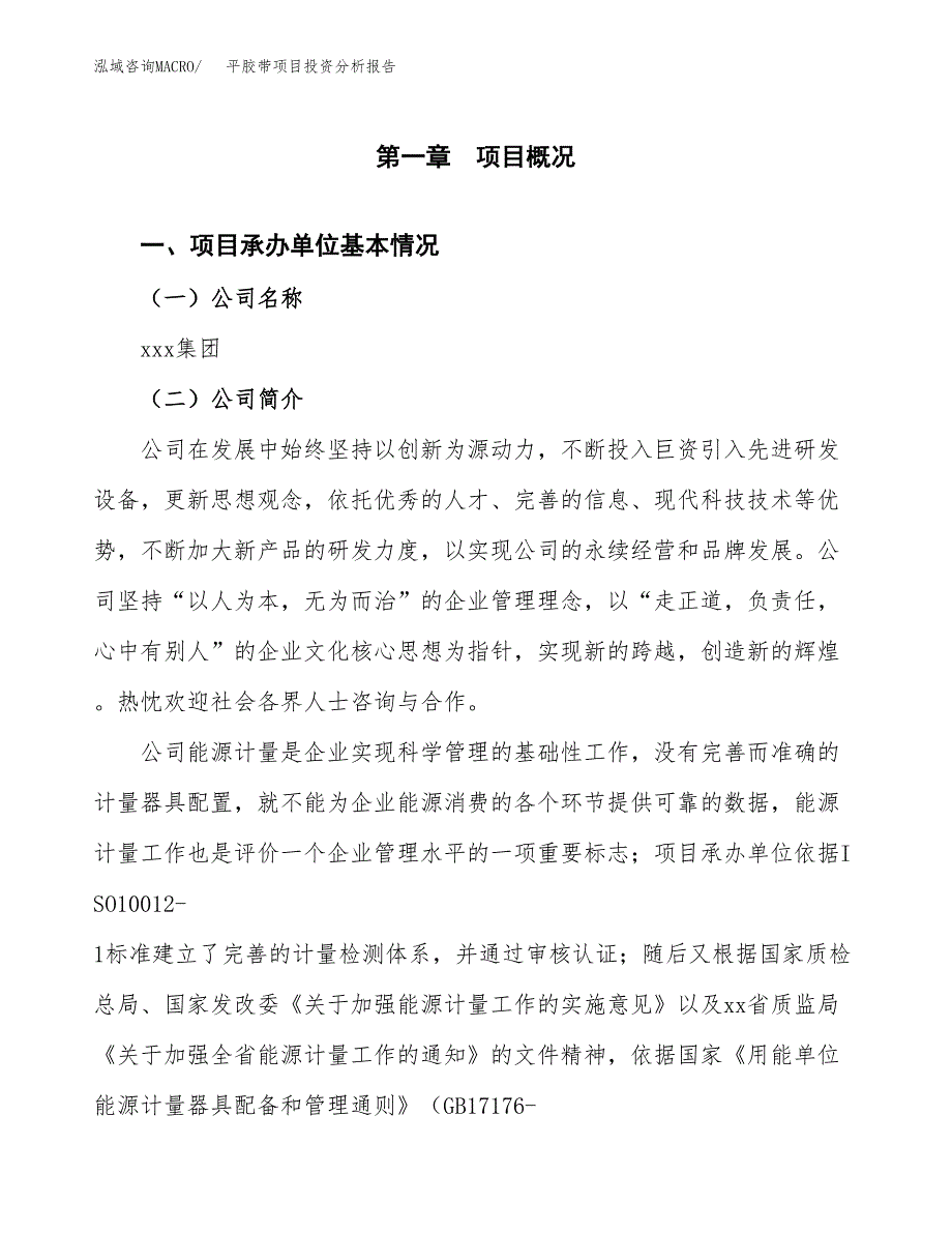 平胶带项目投资分析报告（总投资12000万元）（44亩）_第2页