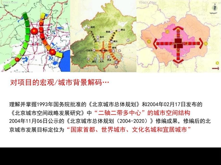 伟业顾问北京市沿海赛洛城项目营销策划综述_第5页