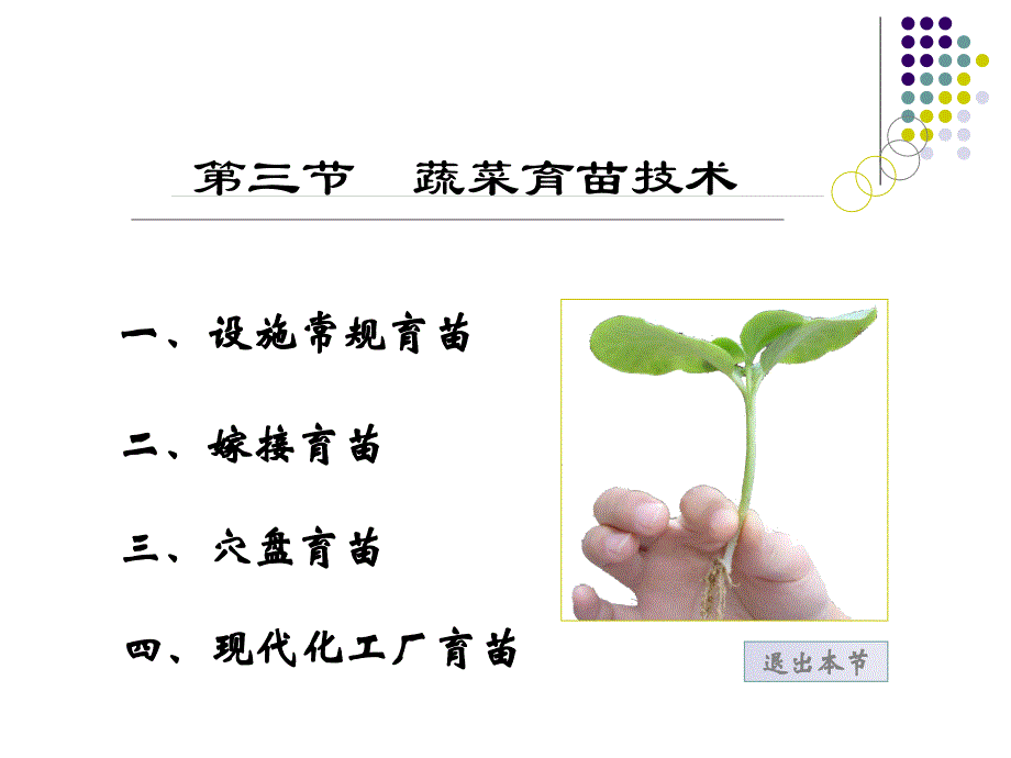 蔬菜育苗技术ppt综述_第1页