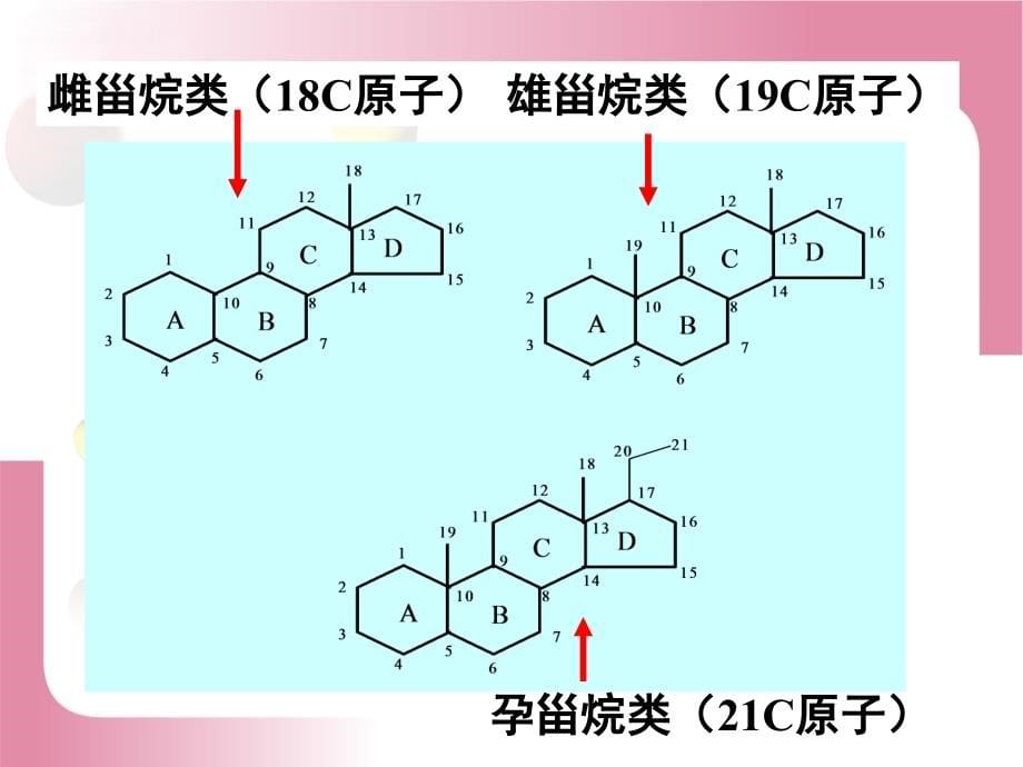 第十节甾体药物_第5页