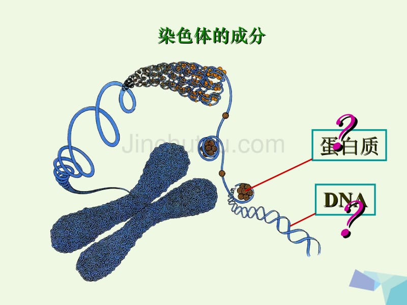 高中生物第三章基因的本质3.1DNA是主要遗传物质课件._第3页