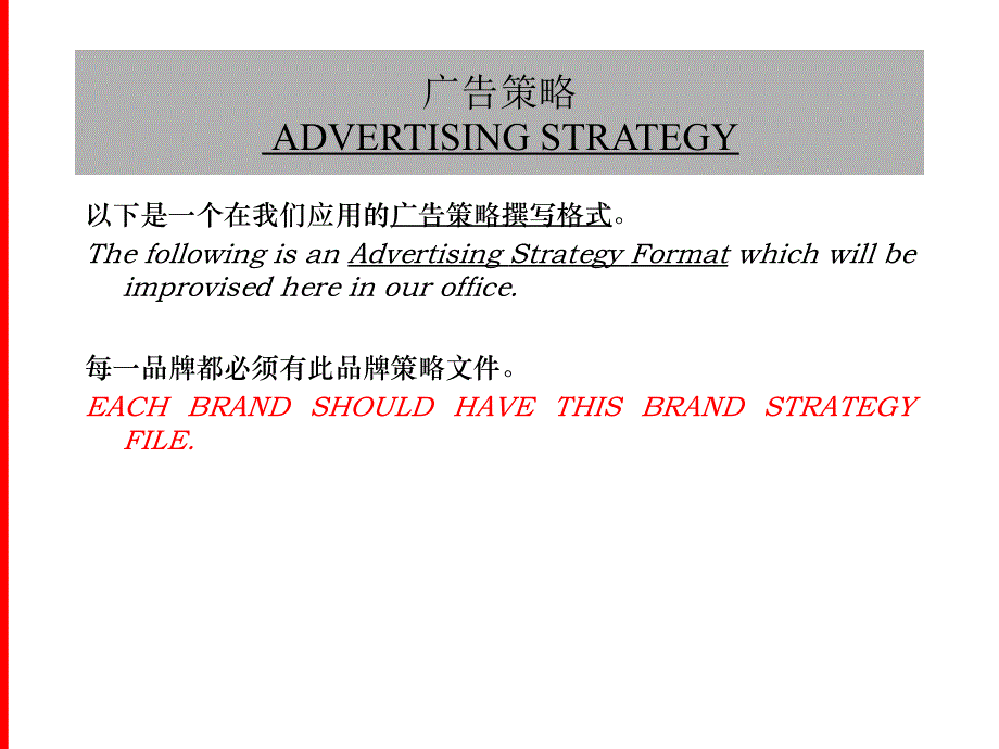 灵狮_广告策略ADVERTISING_STRATEGY_第4页