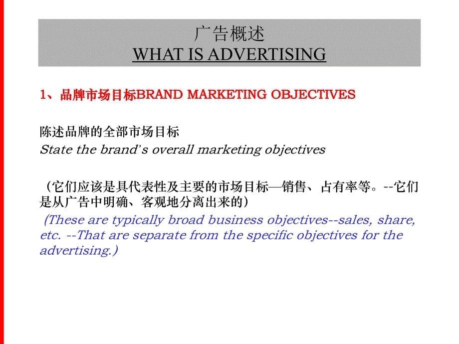 灵狮_广告策略ADVERTISING_STRATEGY_第5页