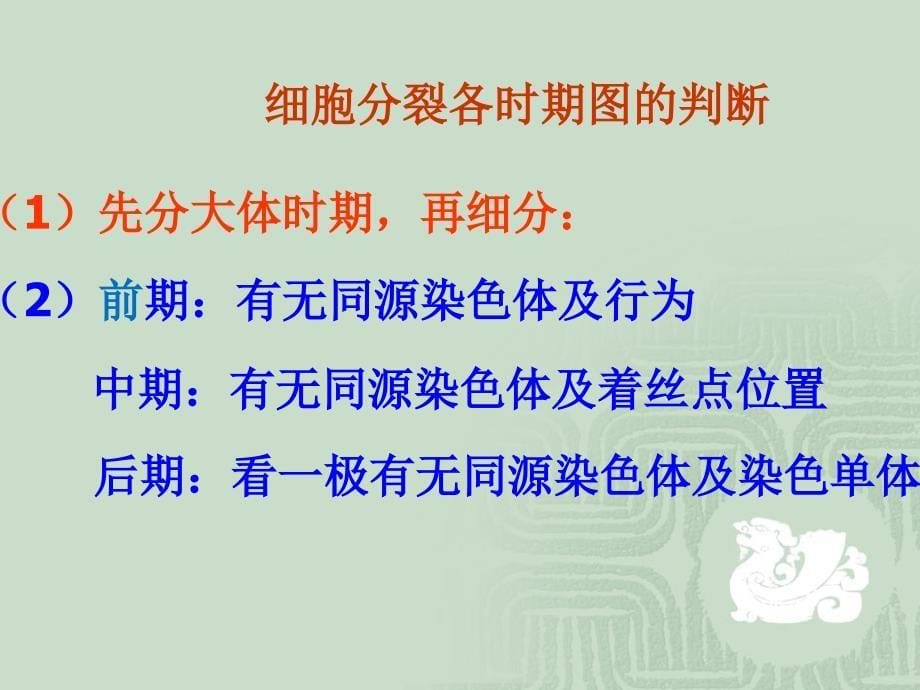 必修二遗传与进化知识强化提纲讲述_第5页