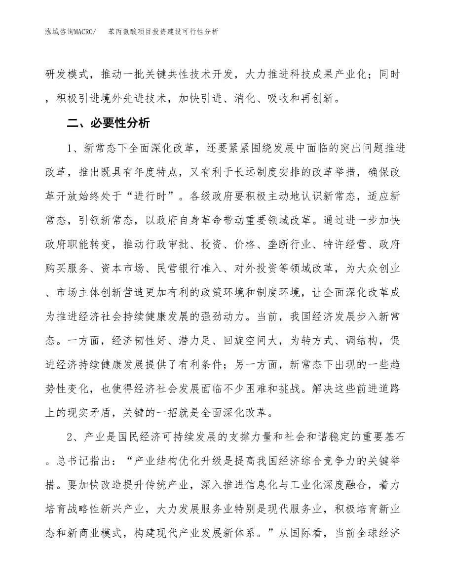 苯丙氨酸项目投资建设可行性分析.docx_第5页