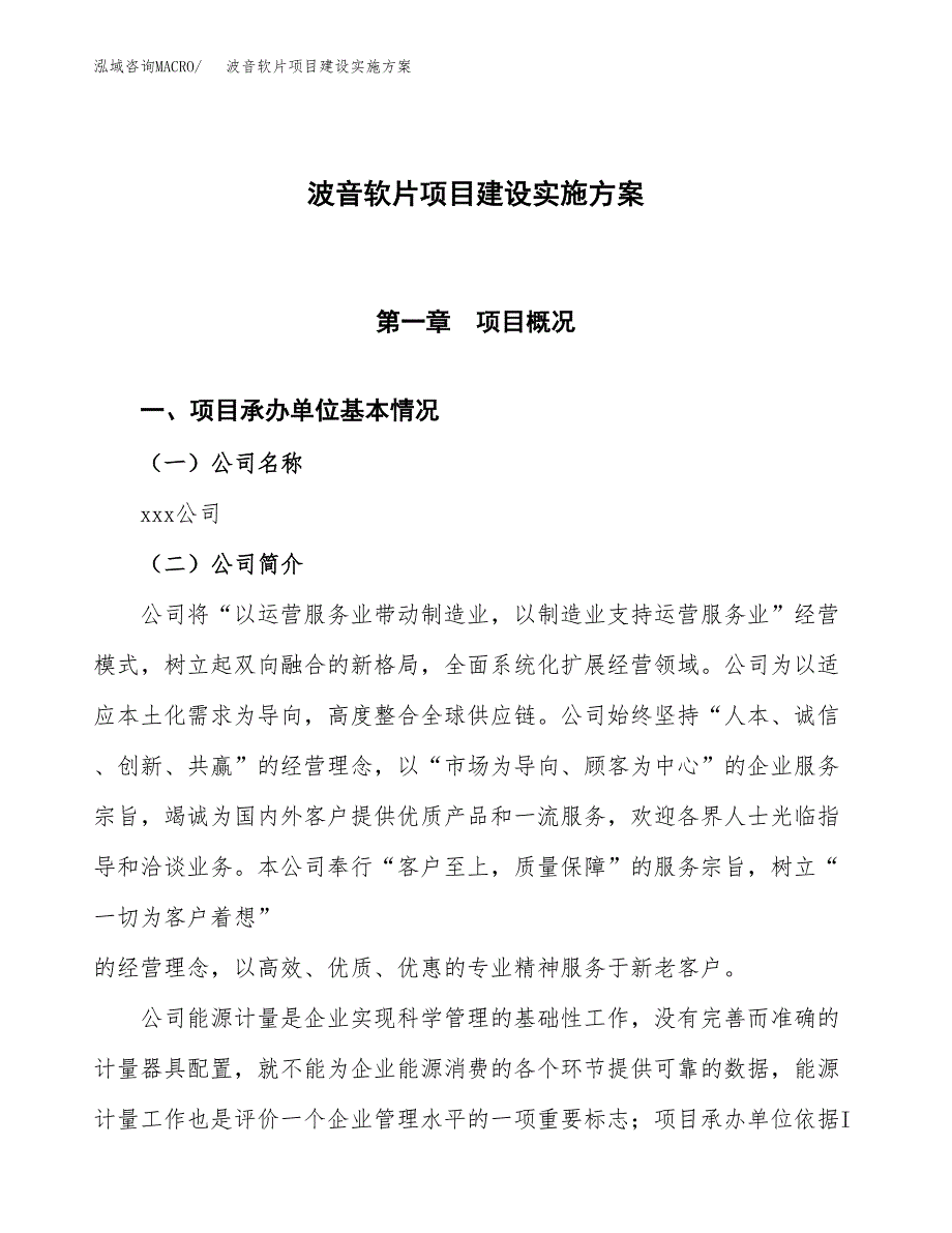 波音软片项目建设实施方案（模板）_第1页