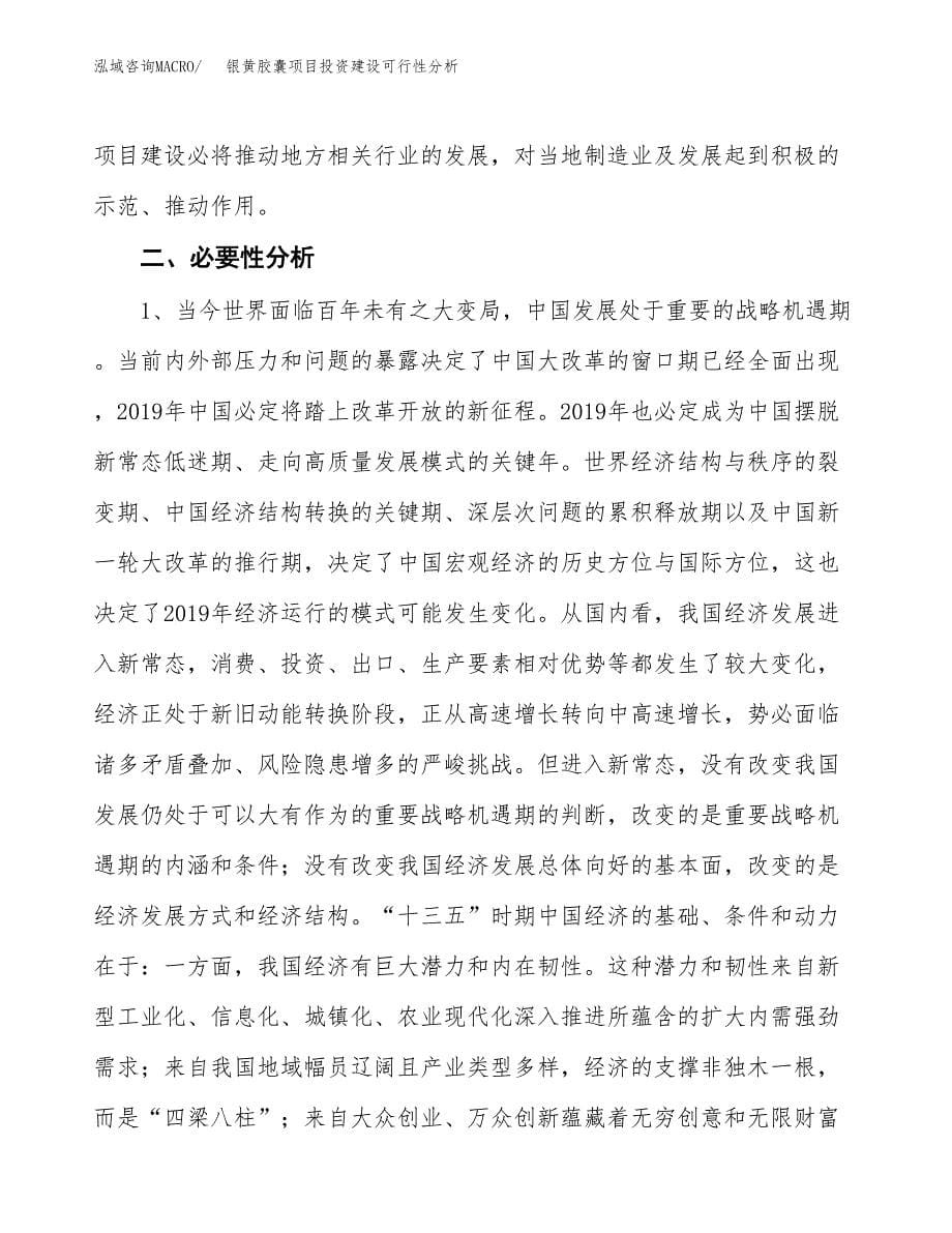 银黄胶囊项目投资建设可行性分析.docx_第5页