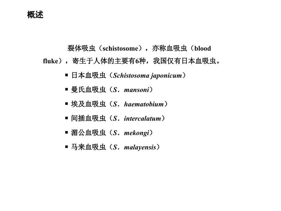 血吸虫本1综述_第5页