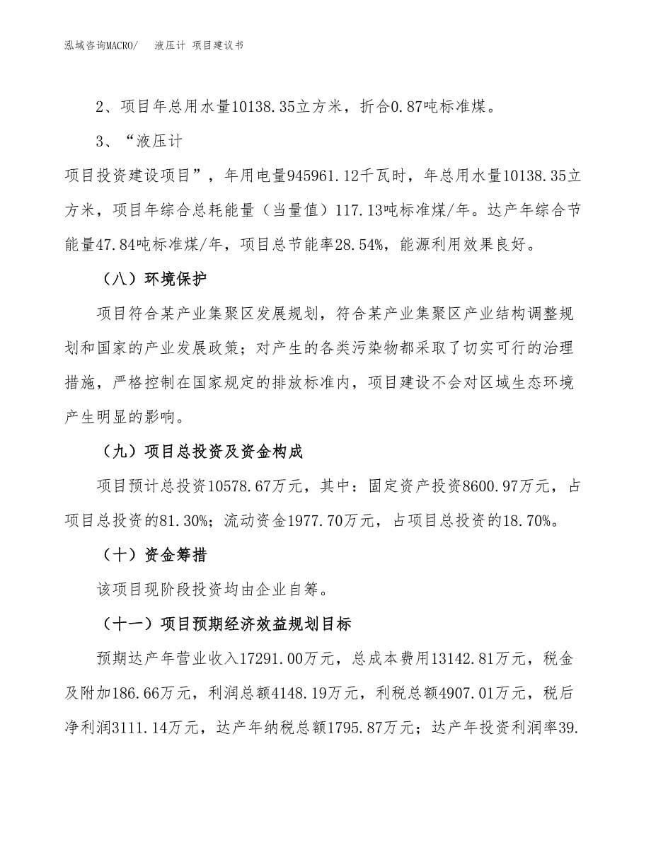 液压计 项目建议书（可研报告）.docx_第5页