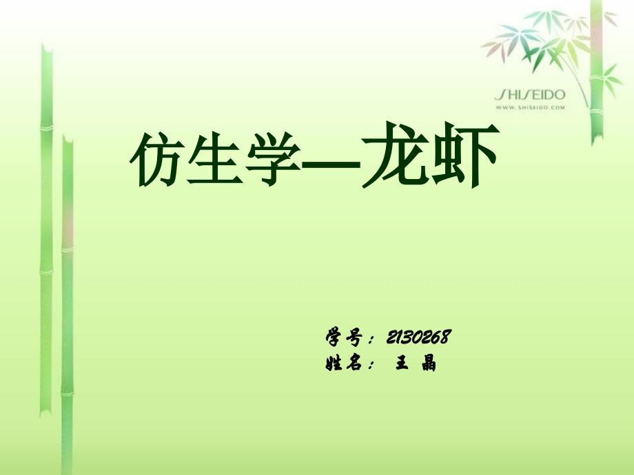 仿生学—龙虾讲解_第1页