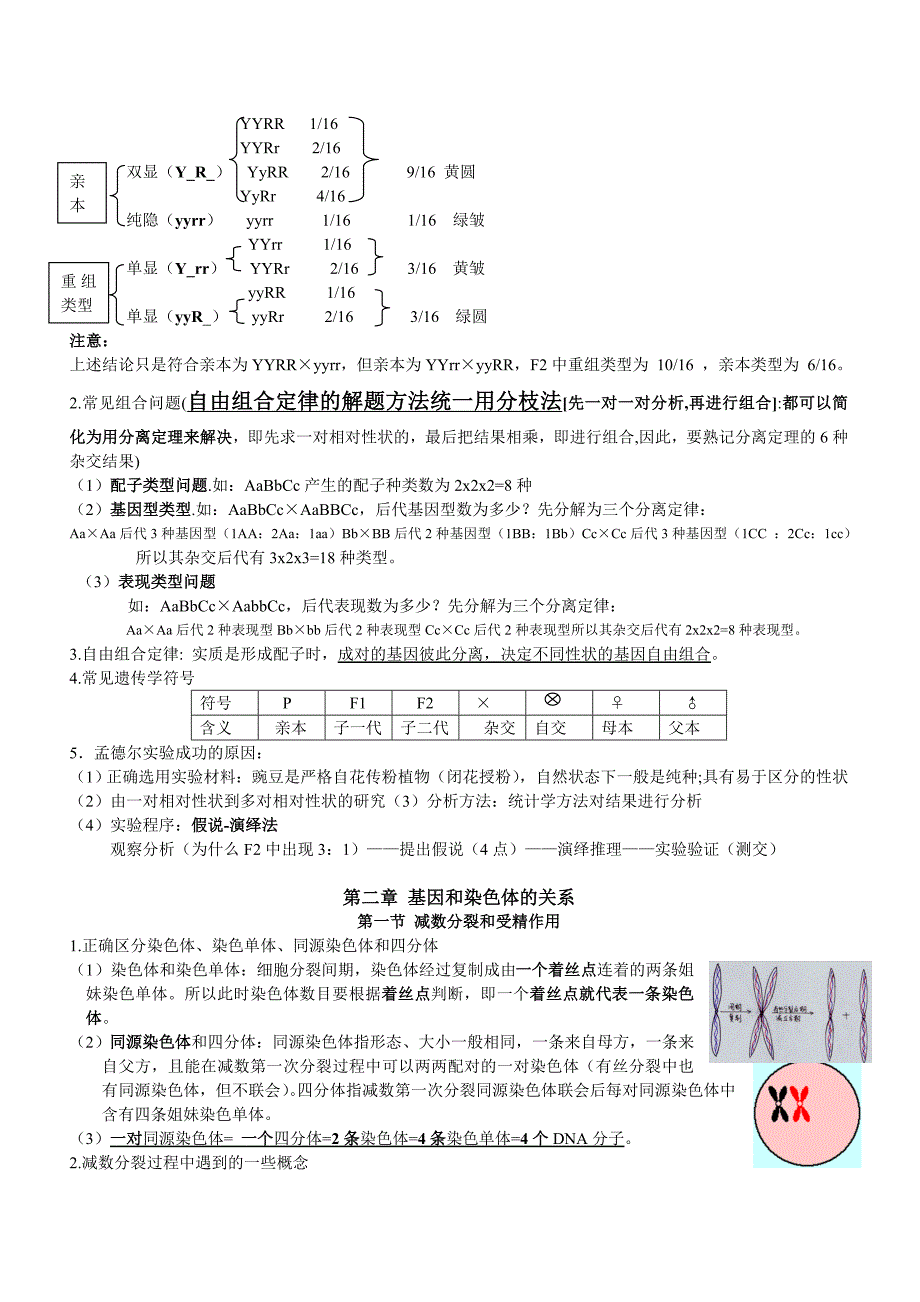 生物必修二知识点整理._第2页