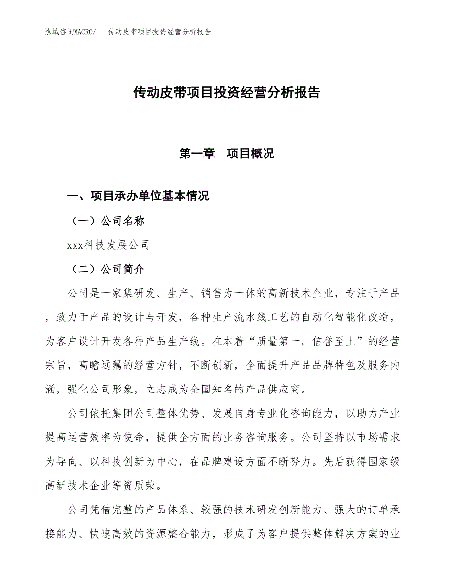 传动皮带项目投资经营分析报告模板.docx_第1页