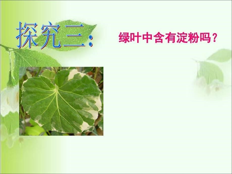 绿色植物通过光合作用制造有机物 ppt._第5页