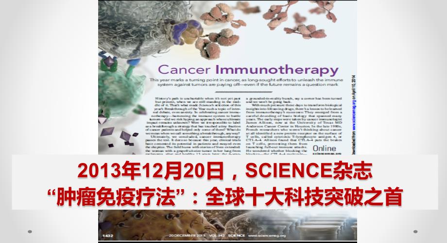 基于免疫学原理与现有技术制定免疫治疗方案_第2页