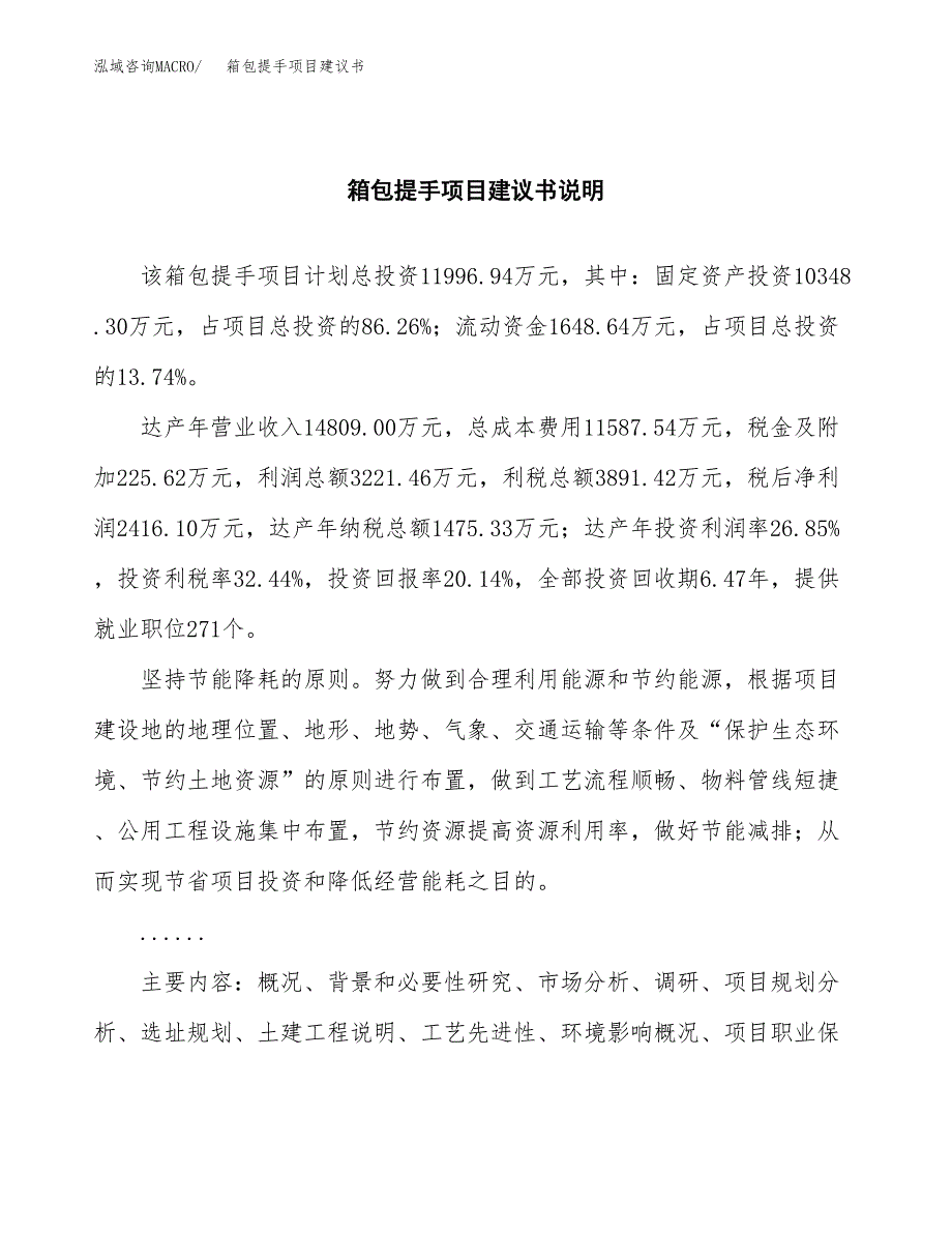 箱包提手项目建议书（可研报告）.docx_第2页