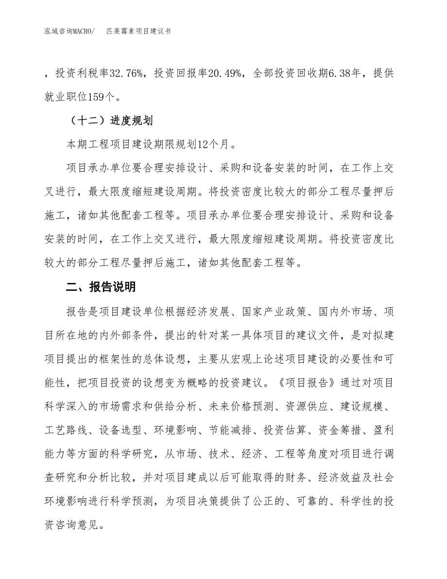 匹莱霉素项目建议书（可研报告）.docx_第5页