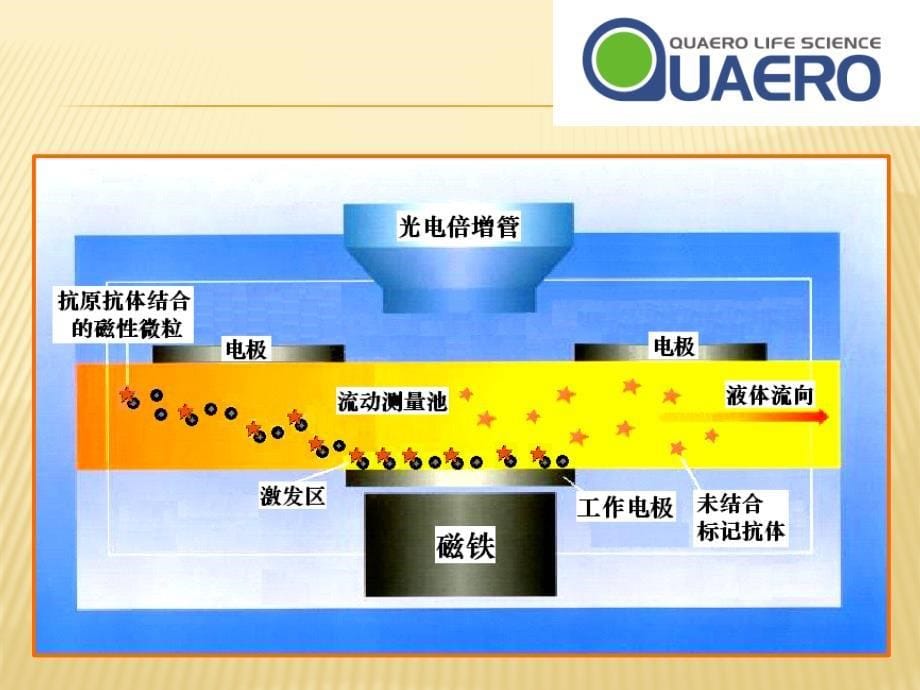 罗氏601样机分析._第5页