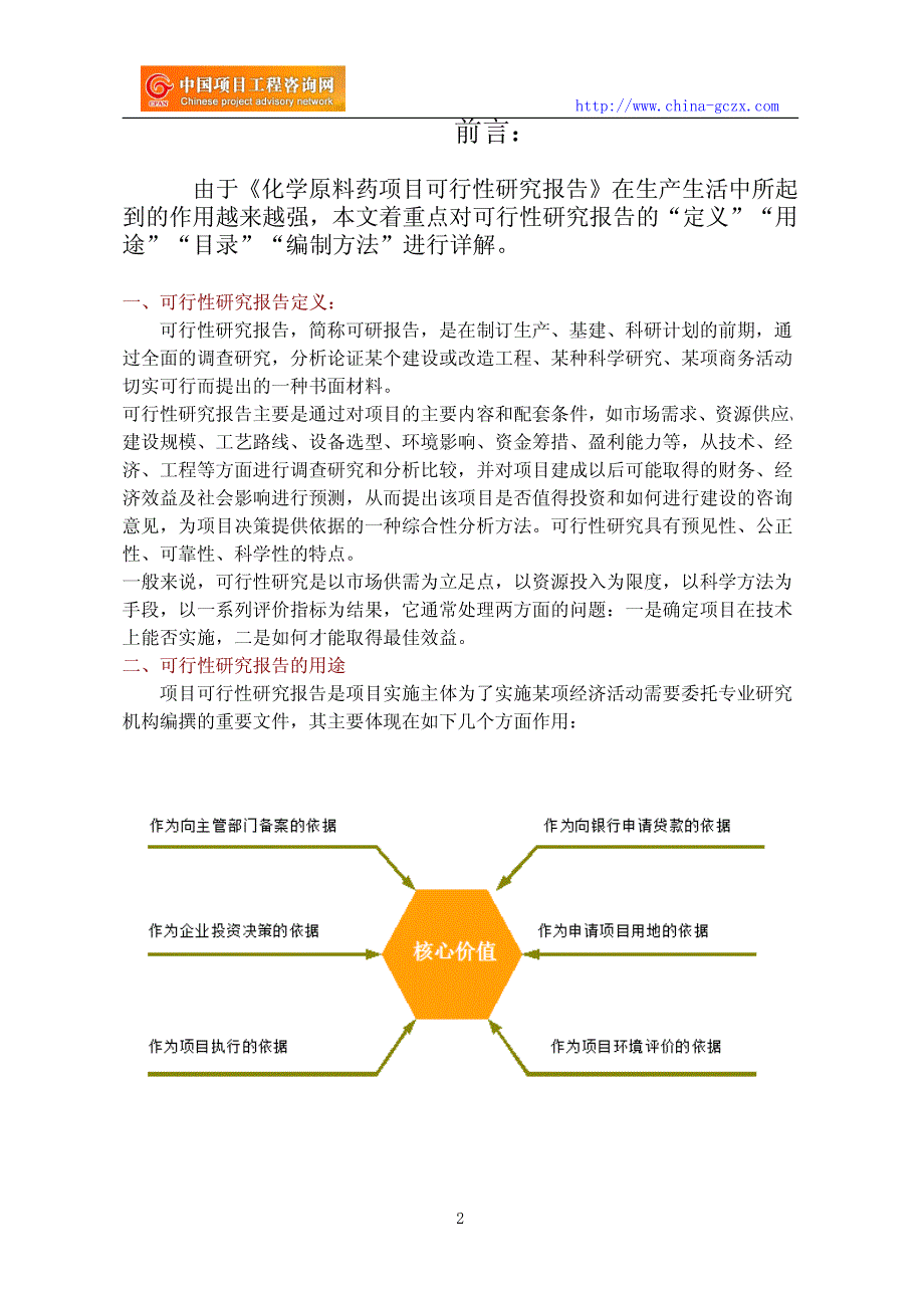 化学原料药项目可行性研究报告专业经典案例_第2页