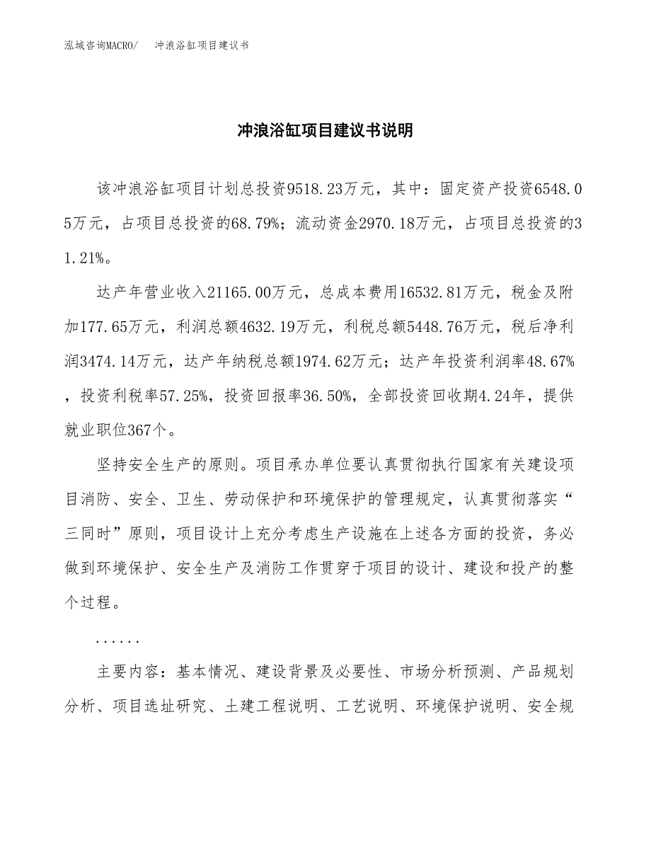 冲浪浴缸项目建议书（可研报告）.docx_第2页