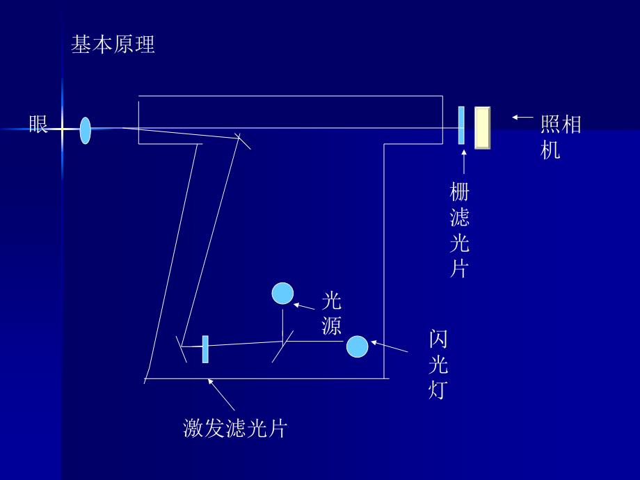 眼底荧光血管造影术泛论[新版]_第3页