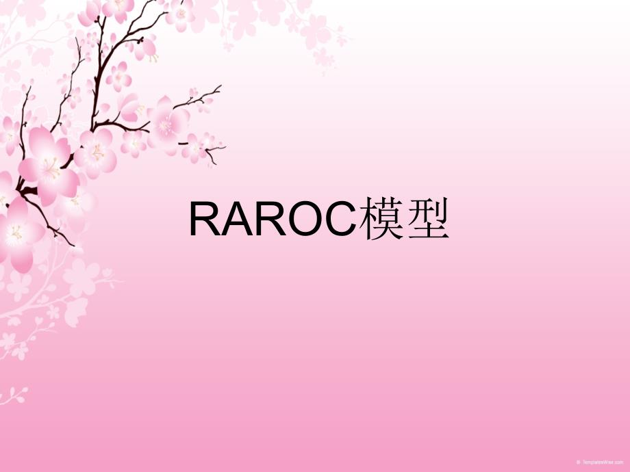 RAROC模型_第1页