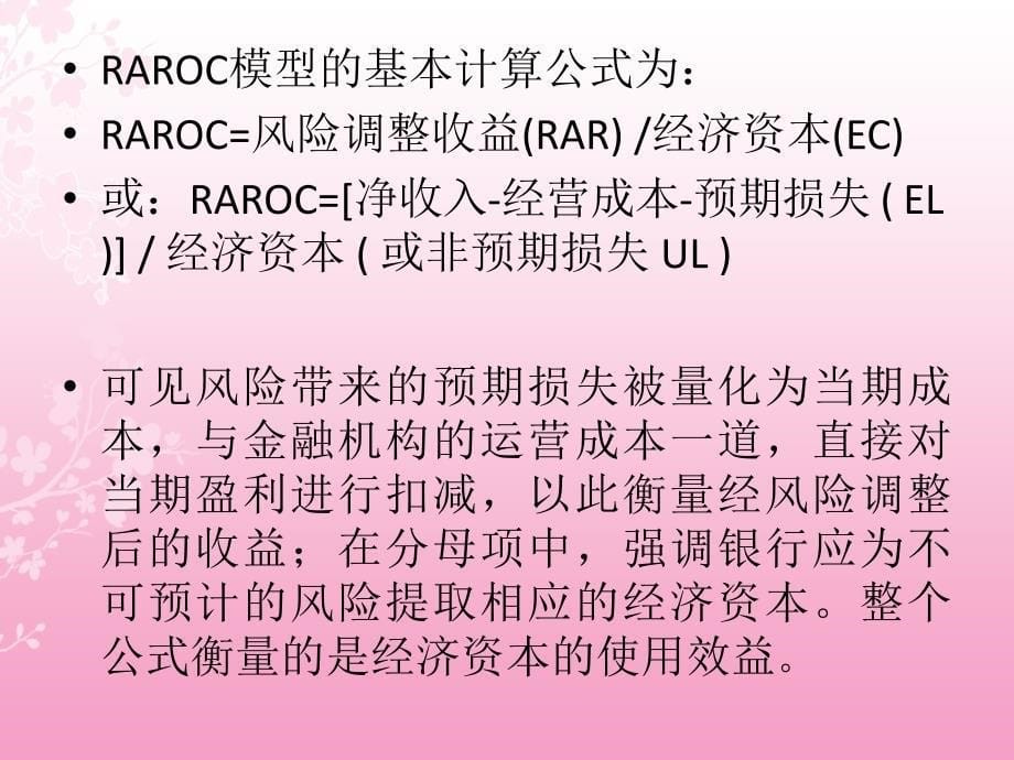 RAROC模型_第5页