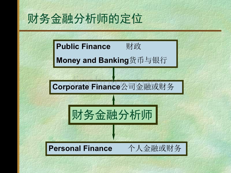 财务与金融分析PPT解析_第4页